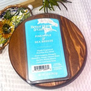 BETTER HOMES & GARDENS PINEAPPLE & SEA BREEZE WAX CUBE MELTS NEW